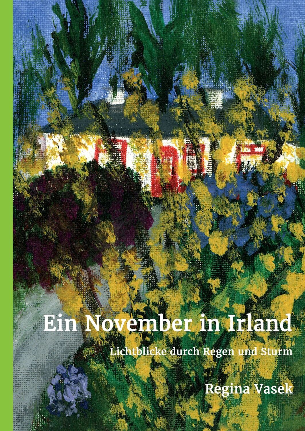 Cover: 9783734559839 | Ein November in Irland | Lichtblicke durch Regen und Sturm | Vasek