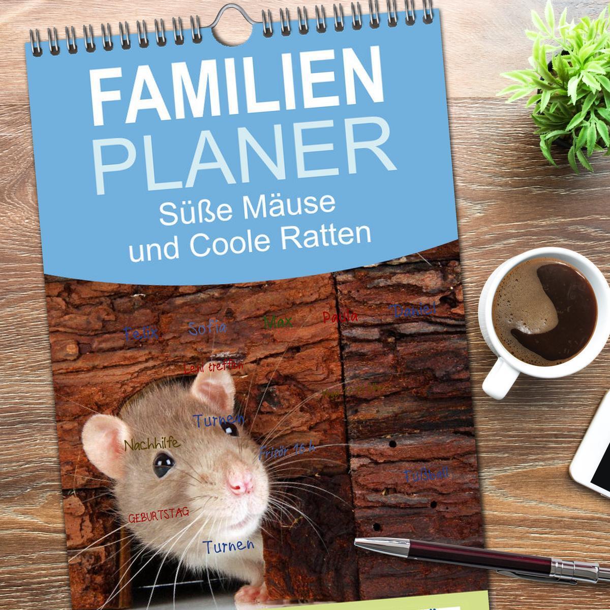 Bild: 9783457121580 | Familienplaner 2025 - Süße Mäuse und Coole Ratten mit 5 Spalten...