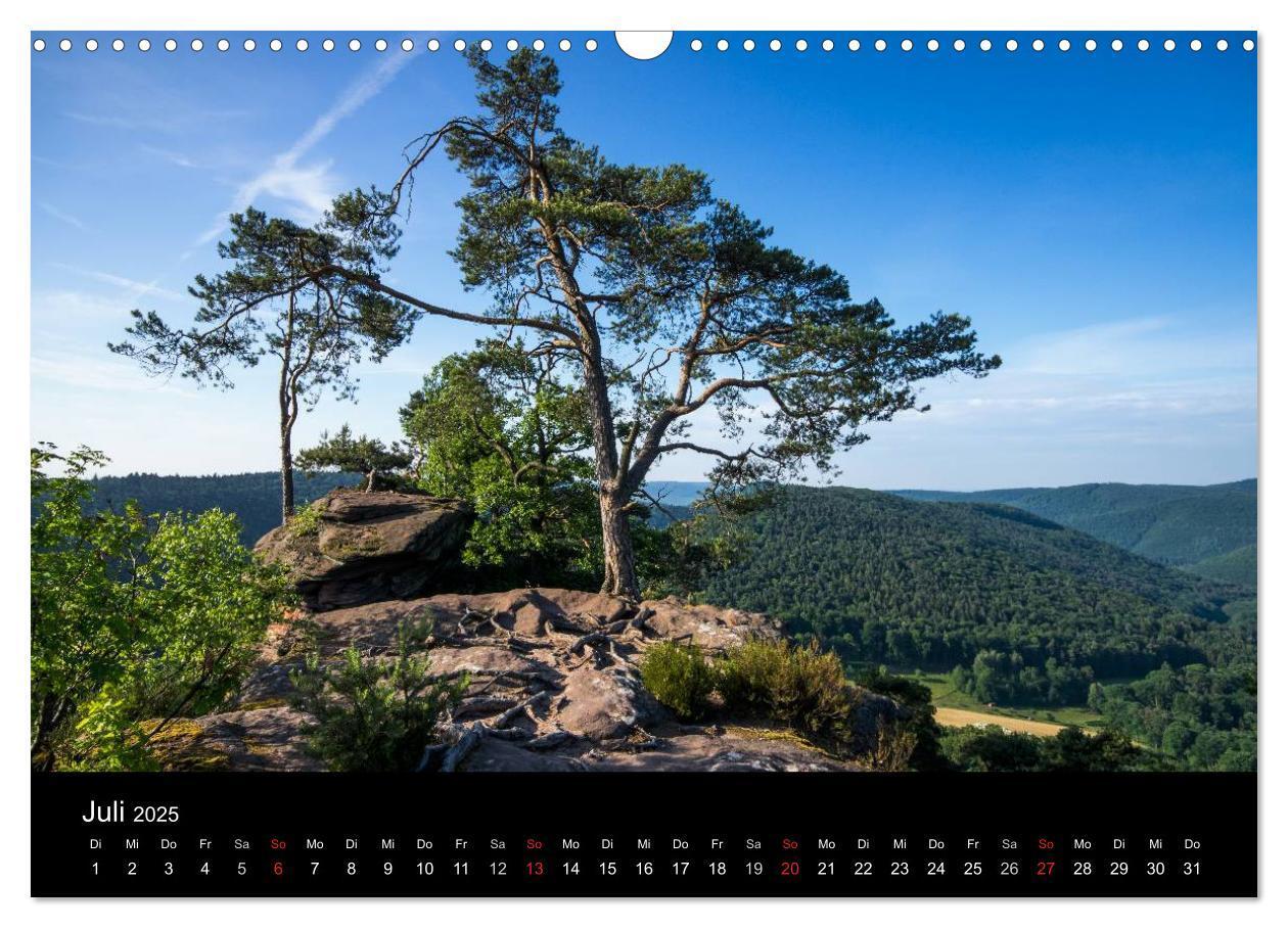 Bild: 9783435592432 | Mystischer Pfälzer Wald (Wandkalender 2025 DIN A3 quer), CALVENDO...