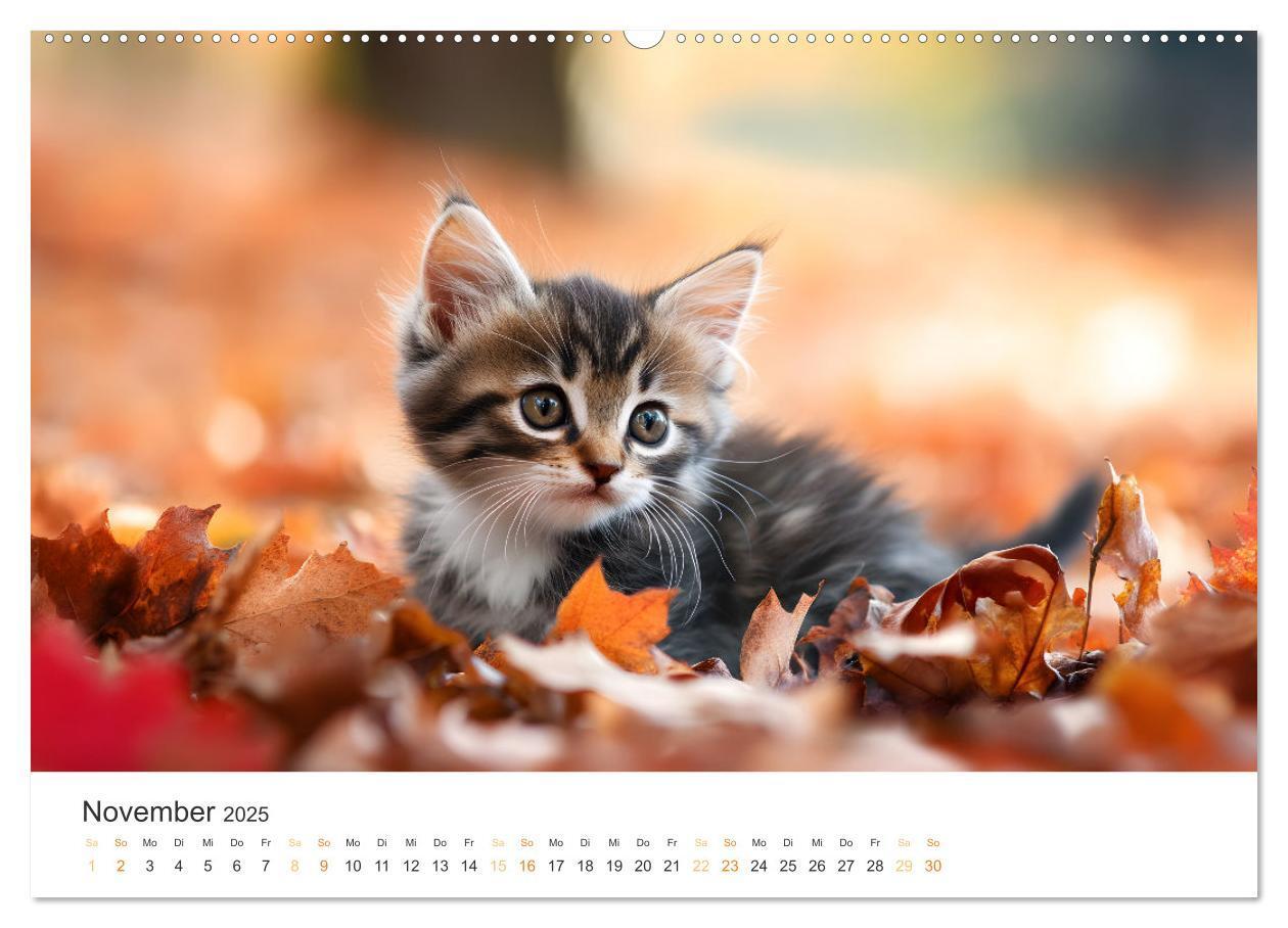 Bild: 9783457208052 | Zauberhafte Katzenbabys (hochwertiger Premium Wandkalender 2025 DIN...