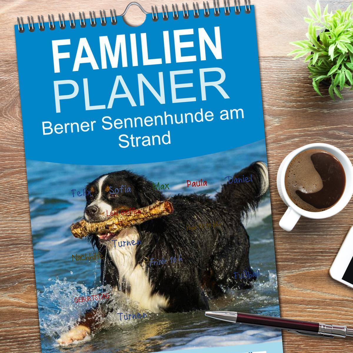 Bild: 9783457125229 | Familienplaner 2025 - Berner Sennenhunde am Strand mit 5 Spalten...