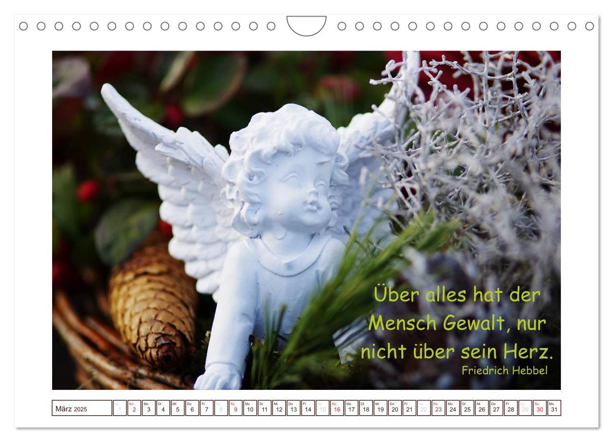 Bild: 9783435738380 | Engel-Kalender mit Zitaten / CH-Version (Wandkalender 2025 DIN A4...