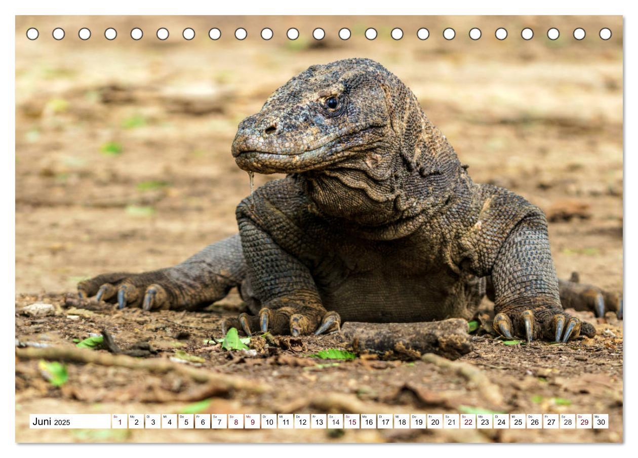 Bild: 9783435408061 | Indonesien - Inselparadies Flores &amp; Komodo (Tischkalender 2025 DIN...