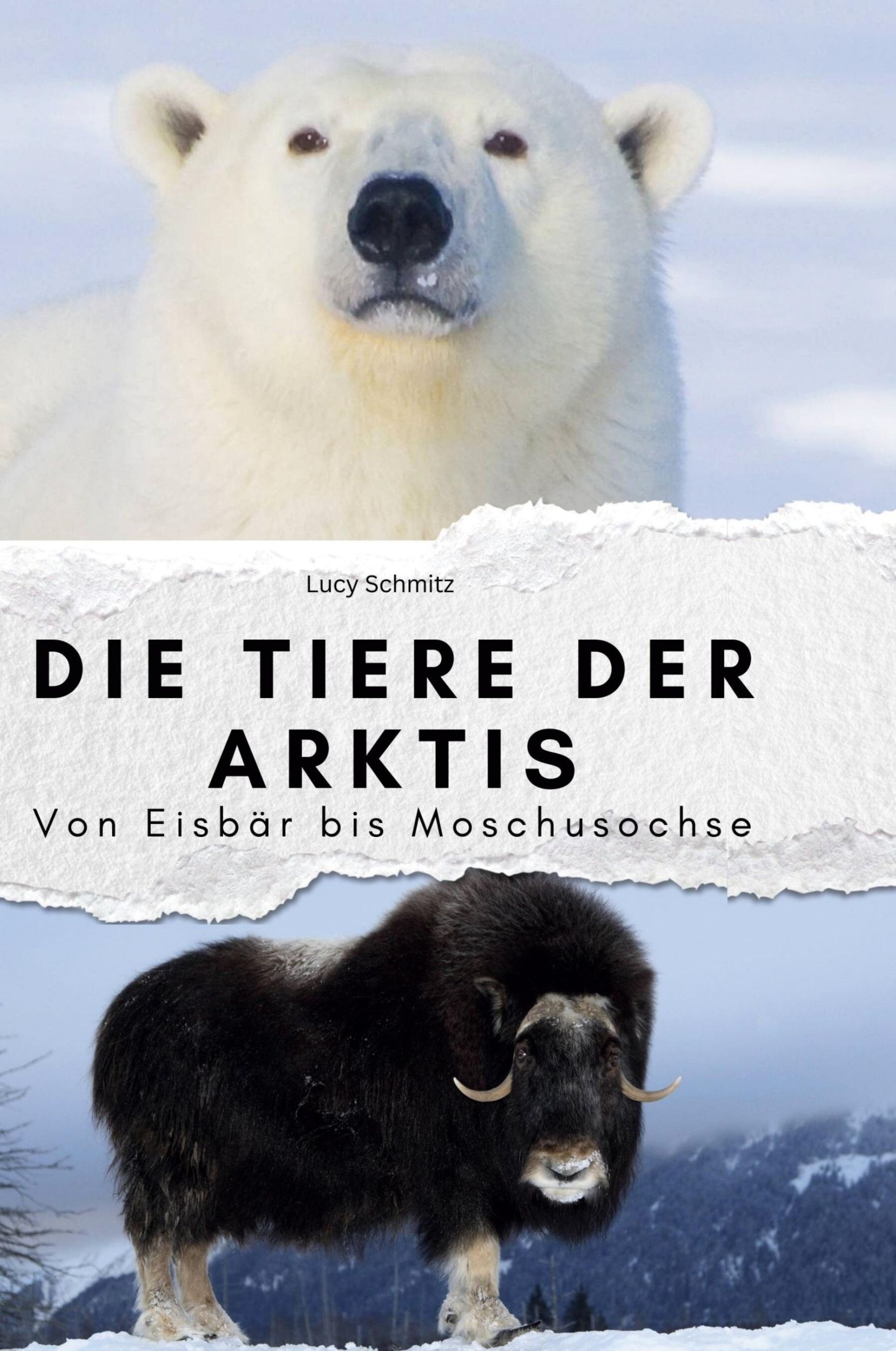 Cover: 9783759139115 | Die Tiere der Arktis | Von Eisbär bis Moschusochse | Lucy Schmitz