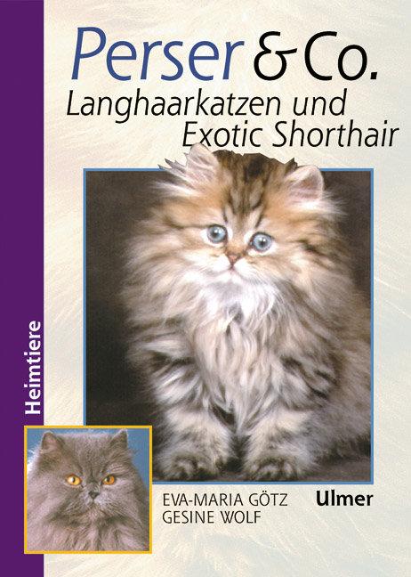 Cover: 9783800174874 | Perser und Co. Langhaarkatzen und Exotic Shorthair | Götz (u. a.)