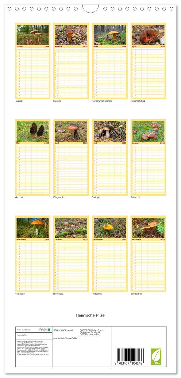 Bild: 9783457104149 | Familienplaner 2025 - Heimische Pilze mit 5 Spalten (Wandkalender,...