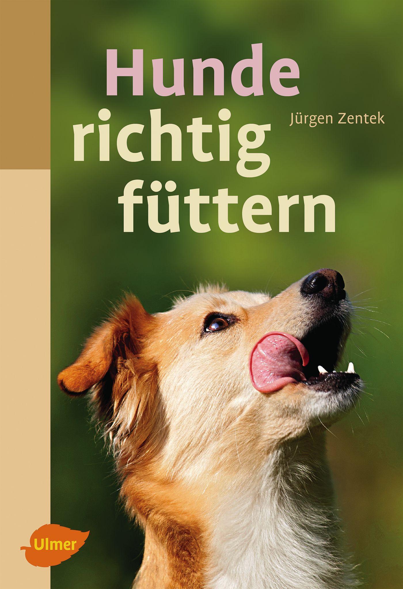 Cover: 9783800159604 | Hunde richtig füttern | Jürgen Zentek | Taschenbuch | 128 S. | Deutsch