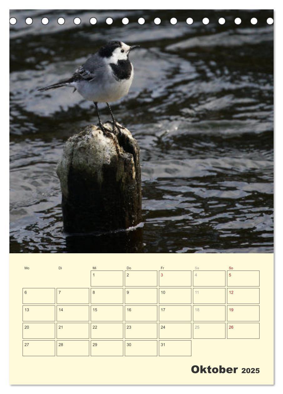 Bild: 9783435910656 | Vogelwelt an der Sieg (Tischkalender 2025 DIN A5 hoch), CALVENDO...