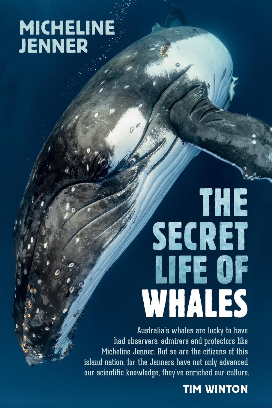 Cover: 9781742235547 | The Secret Life of Whales | Micheline Jenner | Taschenbuch | Englisch