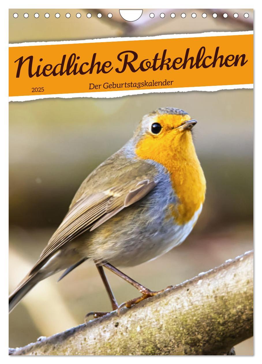 Cover: 9783435881208 | Niedliche Rotkehlchen (Wandkalender 2025 DIN A4 hoch), CALVENDO...