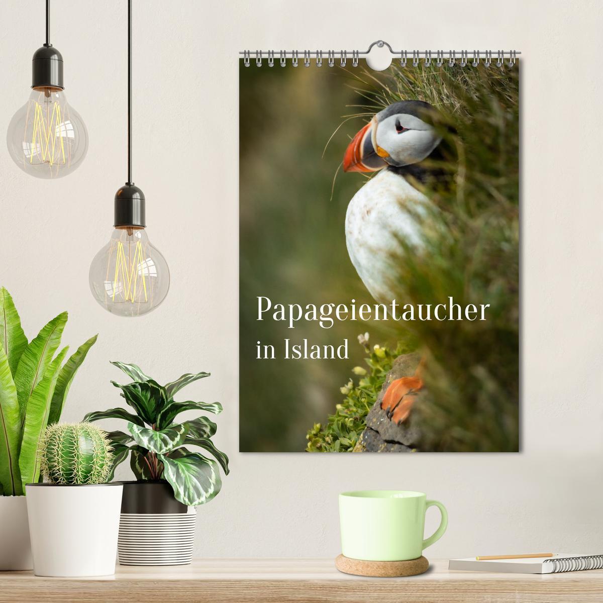 Bild: 9783435916832 | Papageientaucher in Island (Wandkalender 2025 DIN A4 hoch),...