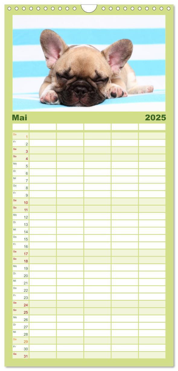 Bild: 9783457111284 | Familienplaner 2025 - Der Bully - Kalender Familienplaner hoch mit...