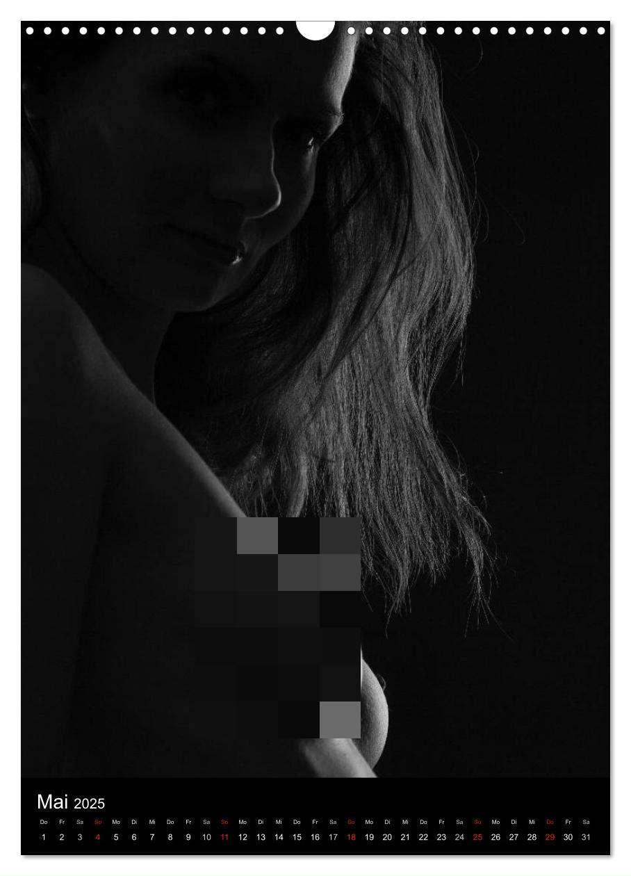 Bild: 9783457080955 | Erotische Silhouetten / CH-Version (Wandkalender 2025 DIN A3 hoch),...