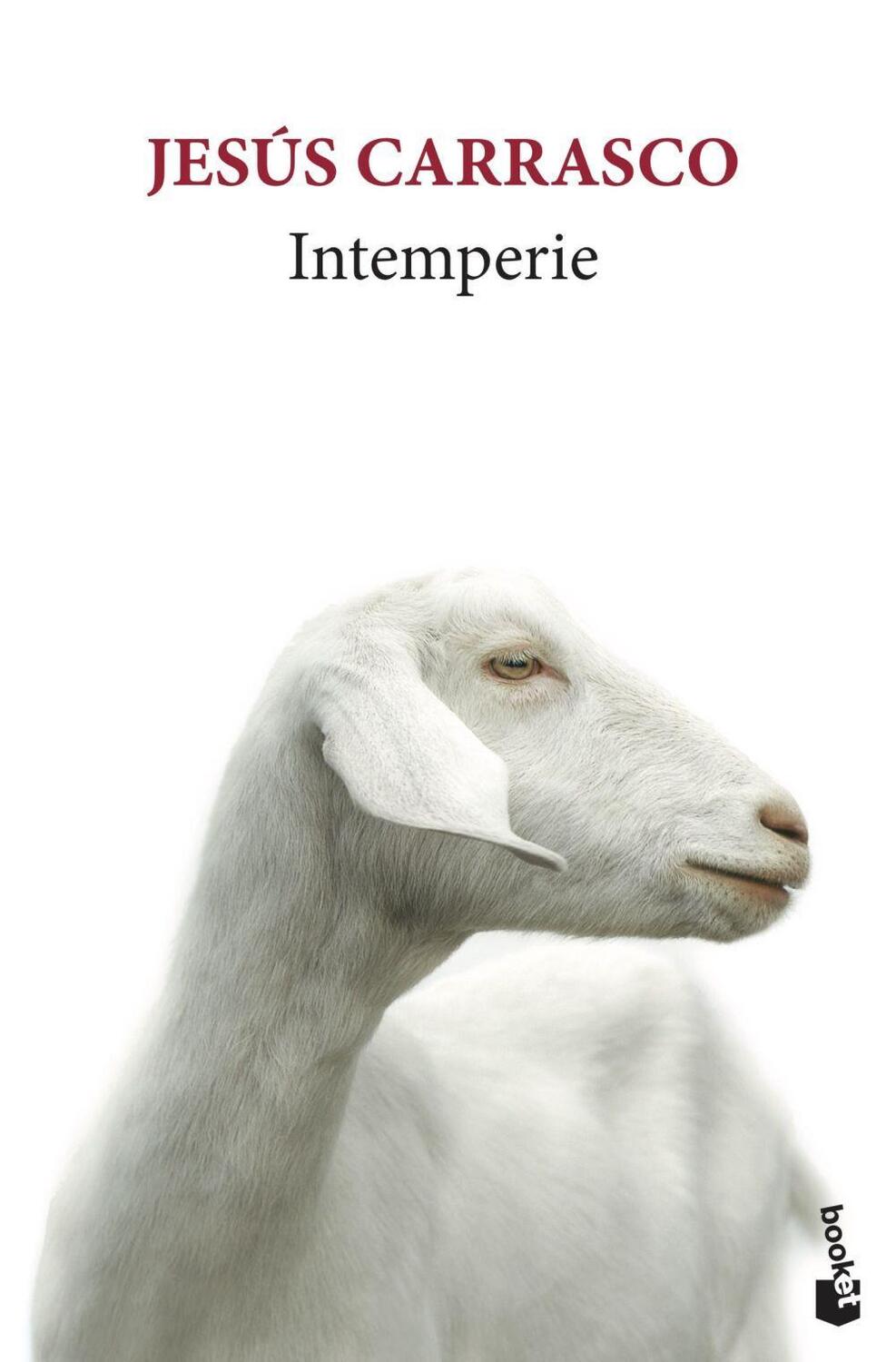 Cover: 9788432235757 | Intemperie | Toda una vida por delante, no la malgastes odiando | Buch