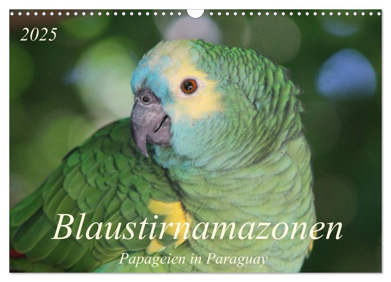 Cover: 9783435727988 | Blaustirnamazonen - Papageien in Paraguay (Wandkalender 2025 DIN A3...