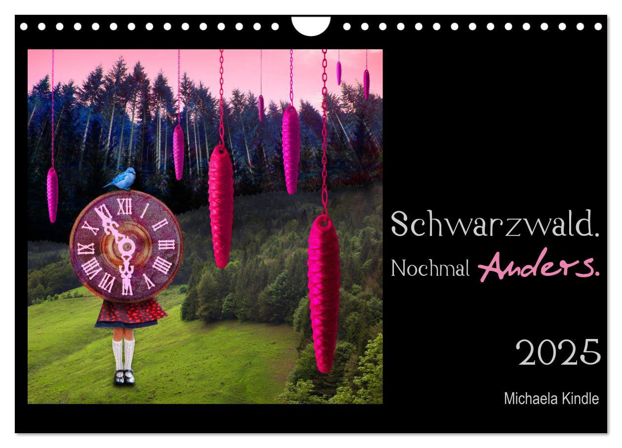 Cover: 9783435269105 | Schwarzwald. Nochmal Anders. (Wandkalender 2025 DIN A4 quer),...