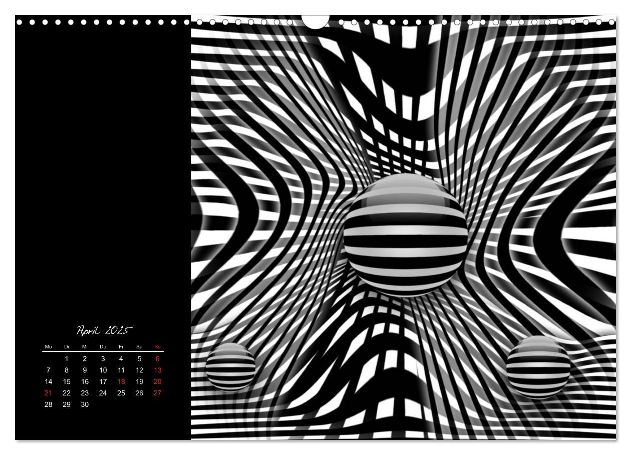 Bild: 9783435794898 | Schwarz trifft Weiß (Wandkalender 2025 DIN A3 quer), CALVENDO...