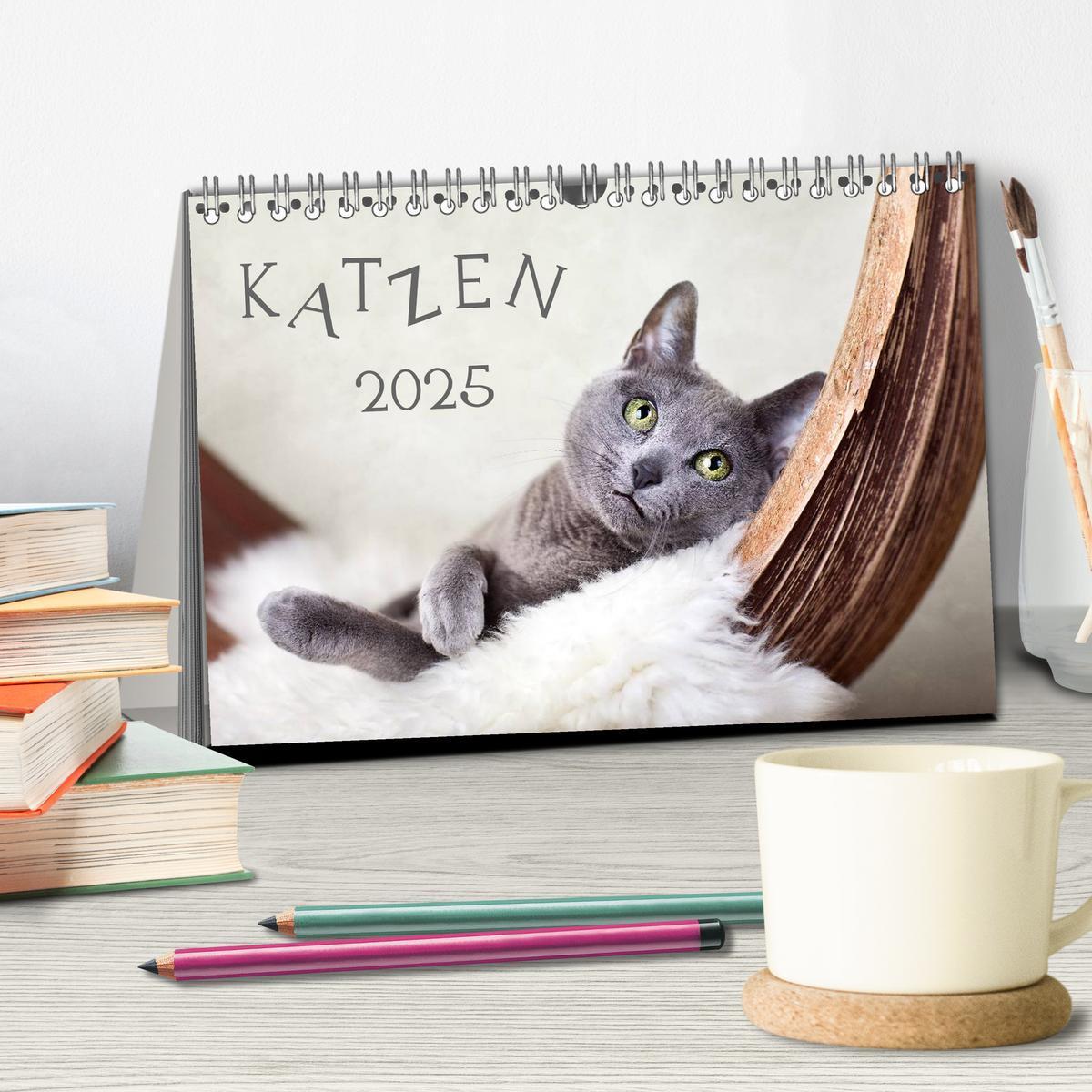 Bild: 9783435827954 | Katzen 2025 (Tischkalender 2025 DIN A5 quer), CALVENDO Monatskalender