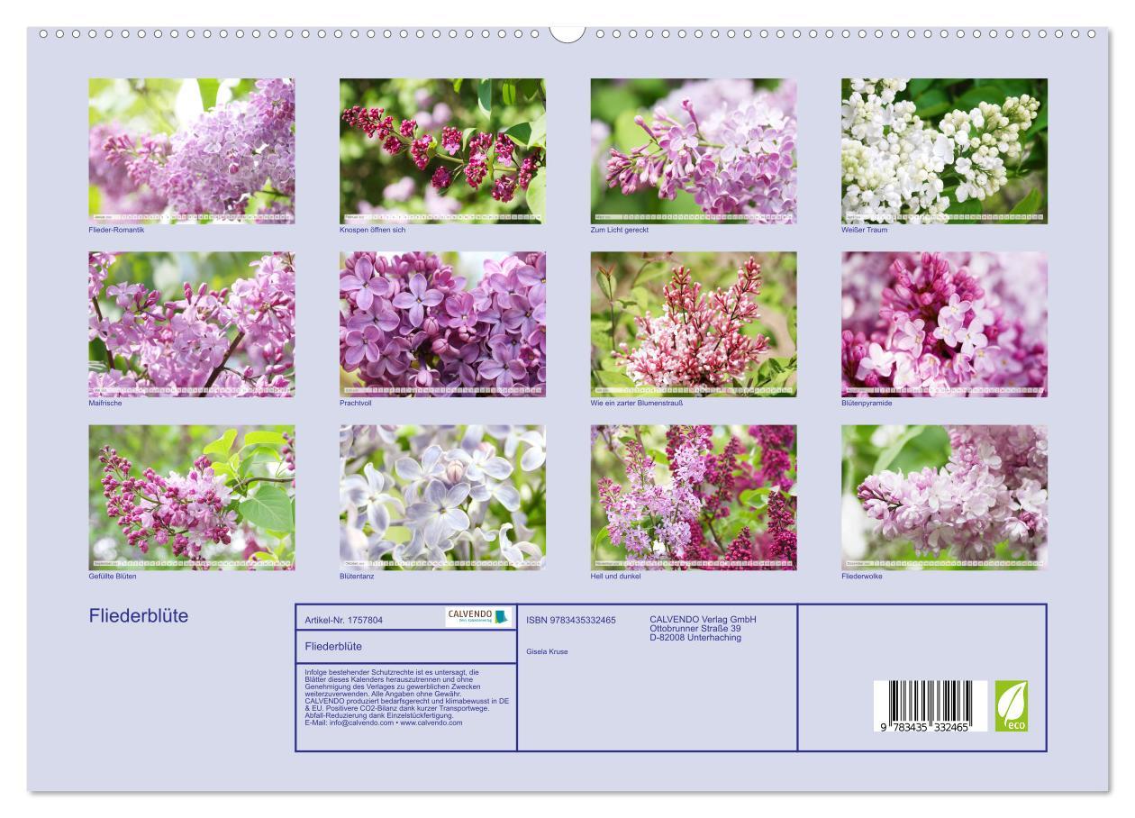 Bild: 9783435332465 | Fliederblüte (hochwertiger Premium Wandkalender 2025 DIN A2 quer),...