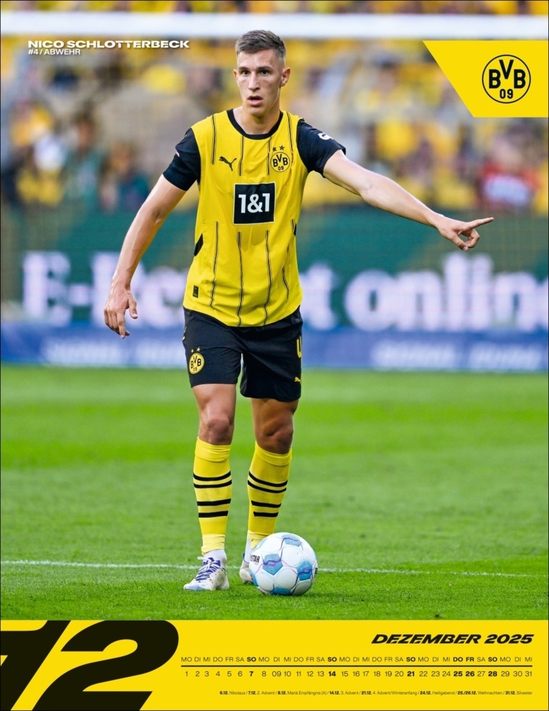 Bild: 9783756405435 | BVB Posterkalender 2025 | Kalender | Spiralbindung | 15 S. | Deutsch