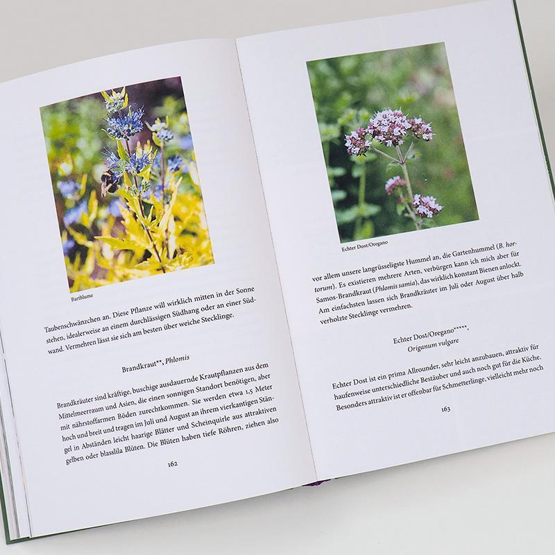 Bild: 9783446269293 | Bienenweide und Hummelparadies | Dave Goulson | Buch | 352 S. | 2021