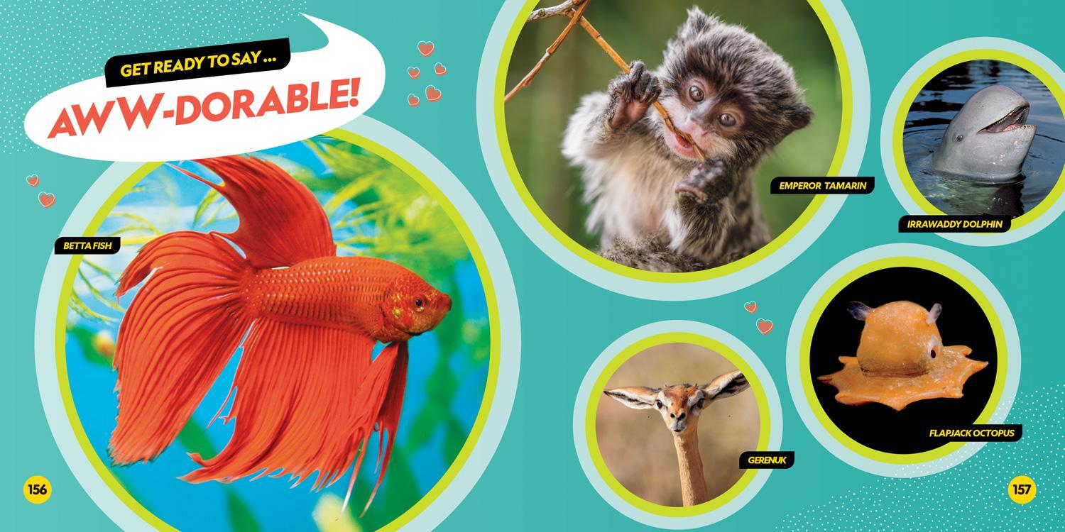 Bild: 9781426339219 | Cutest Animals on the Planet | National Geographic Kids | Taschenbuch