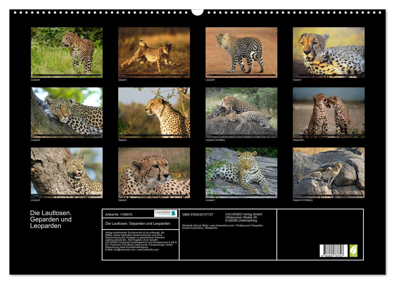 Bild: 9783435737727 | Die Lautlosen. Geparden und Leoparden (Wandkalender 2025 DIN A2...