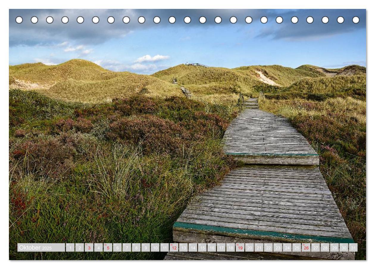 Bild: 9783435714285 | Amrum, die Perle in der Nordsee (Tischkalender 2025 DIN A5 quer),...