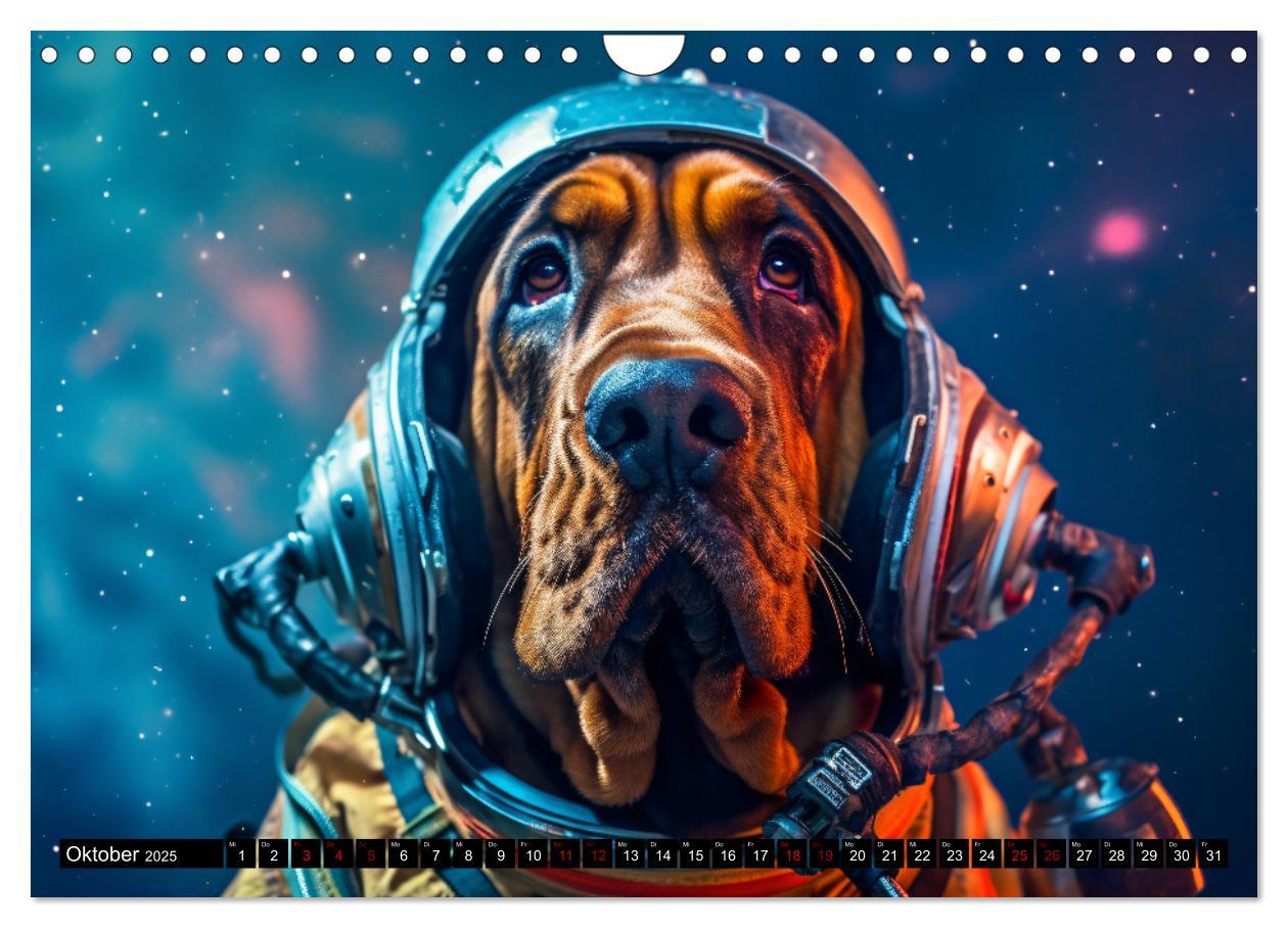 Bild: 9783383858987 | Hunde im Weltall (Wandkalender 2025 DIN A4 quer), CALVENDO...