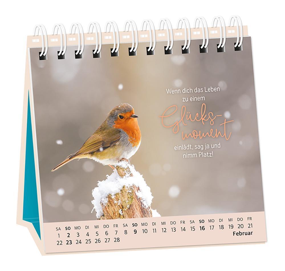 Bild: 9783986360962 | Tischkalender 2025 Extraportion Glück | Tischkalender | Original