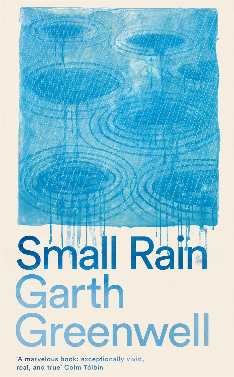 Cover: 9781509874699 | Small Rain | Garth Greenwell | Buch | Englisch | 2024 | Pan Macmillan