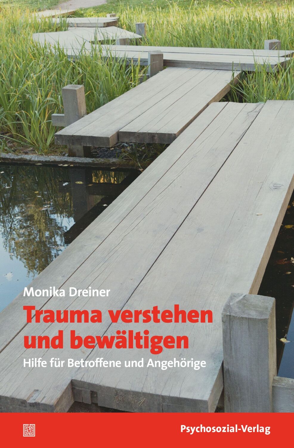 Cover: 9783837930108 | Trauma verstehen und bewältigen | Hilfe für Betroffene und Angehörige