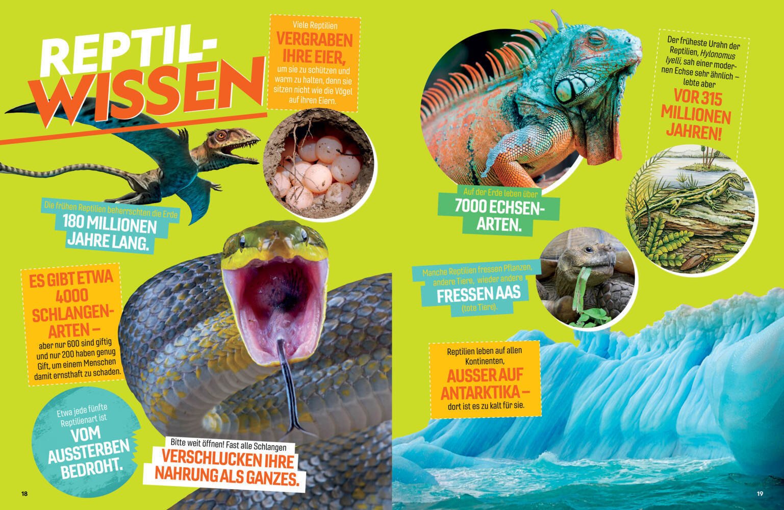 Bild: 9788863126273 | Das ultimative Buch der Reptilien, Die umfassendste Enzyklopädie...