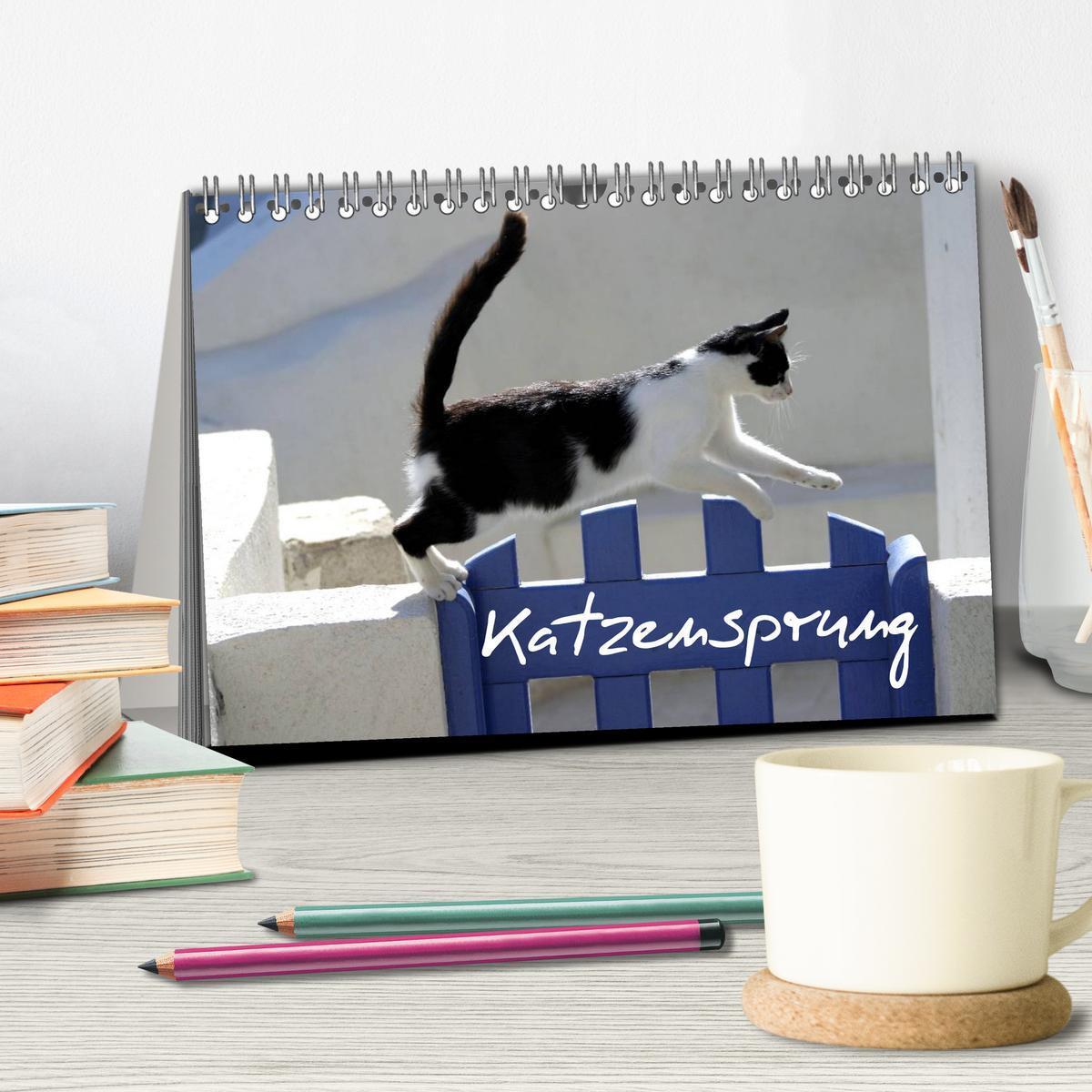 Bild: 9783435677405 | Katzensprung (Tischkalender 2025 DIN A5 quer), CALVENDO Monatskalender