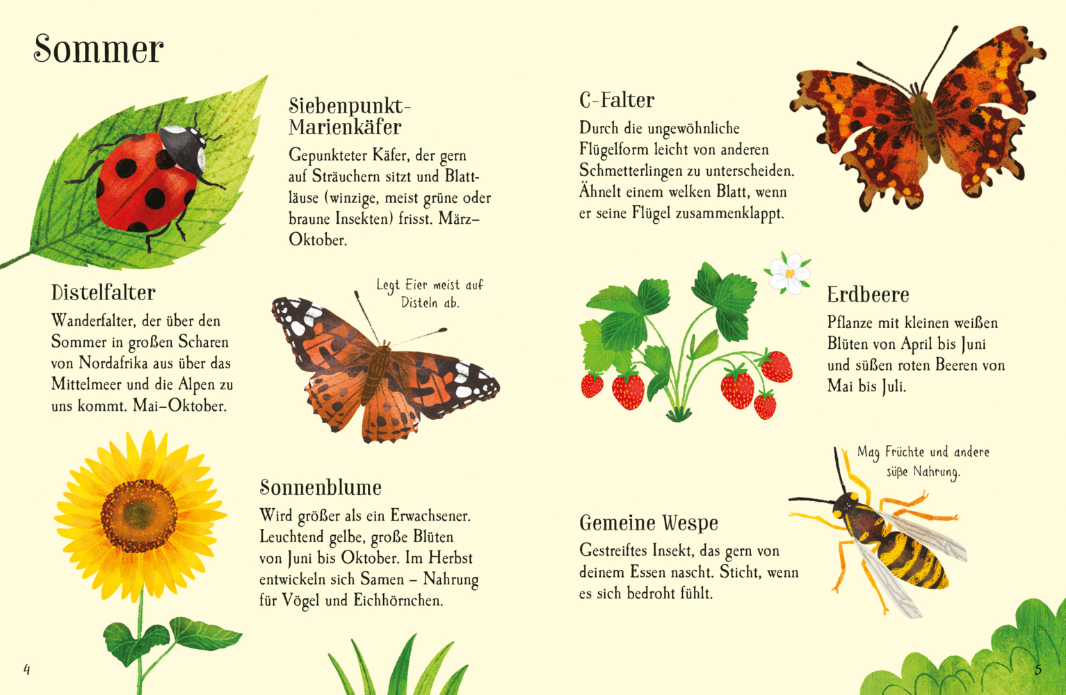 Bild: 9781035701261 | Usborne Minis Naturführer: Im Garten | Kate Nolan | Taschenbuch | 2024