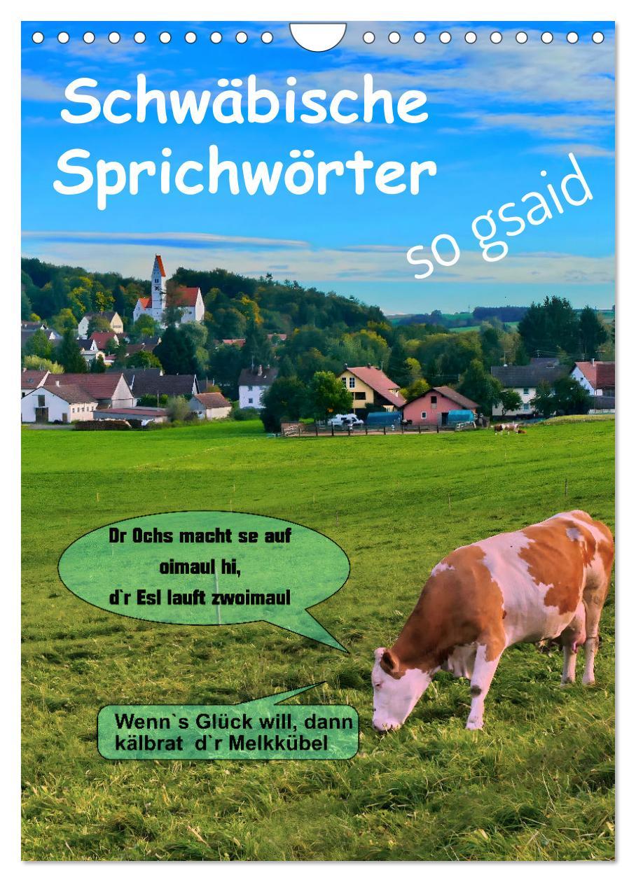 Cover: 9783435854813 | Schwäbische Sprichwörter - so gsaid (Wandkalender 2025 DIN A4...