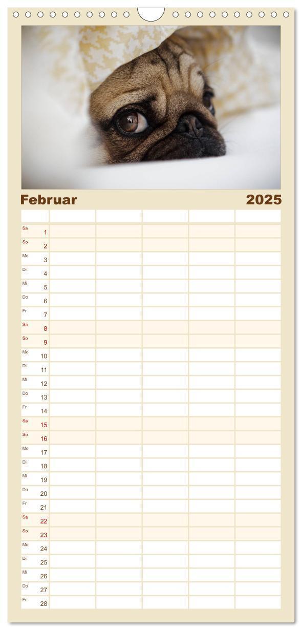 Bild: 9783457113592 | Familienplaner 2025 - Mops mit 5 Spalten (Wandkalender, 21 x 45 cm)...