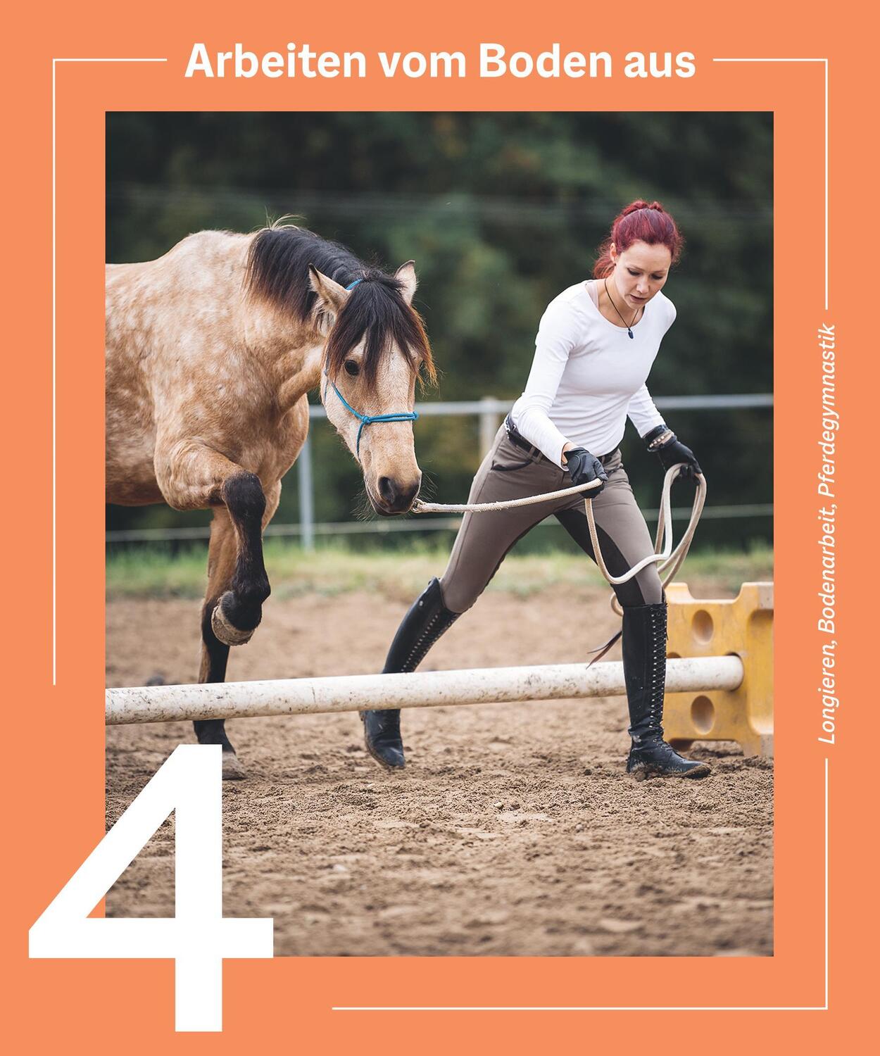 Bild: 9783967470468 | Die Reittrainings-Box | Barbara Decker | Buch | 192 S. | Deutsch | BLV