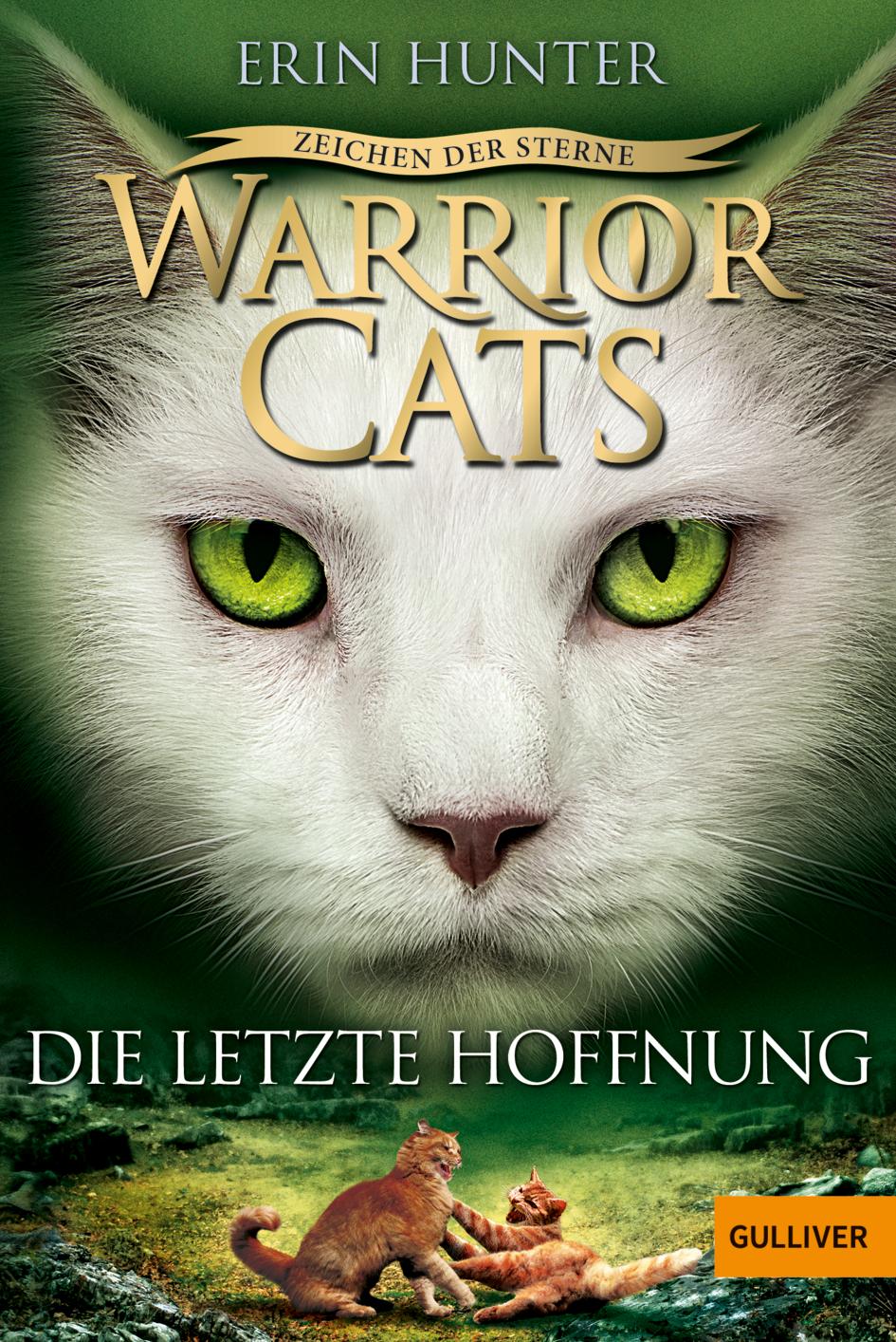 Cover: 9783407747747 | Warrior Cats Staffel 4/06 - Zeichen der Sterne. Die letzte Hoffnung