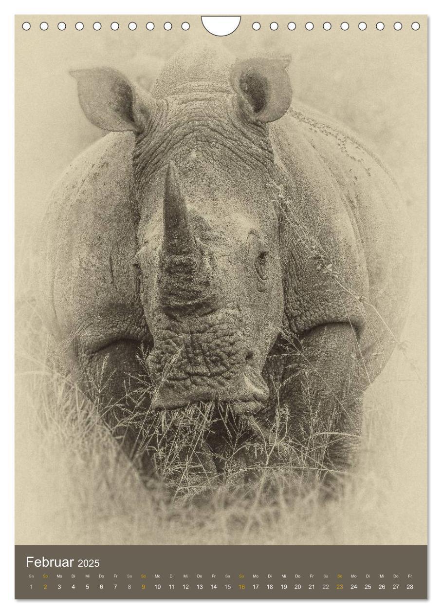 Bild: 9783457013724 | Afrikas Tierwelt - Sepia-Art (Wandkalender 2025 DIN A4 hoch),...