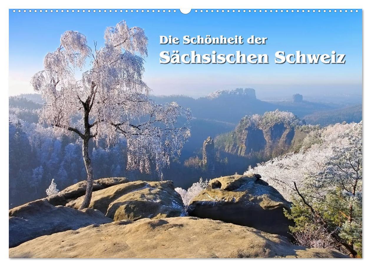 Cover: 9783435210022 | Die Schönheit der Sächsischen Schweiz (Wandkalender 2025 DIN A2...