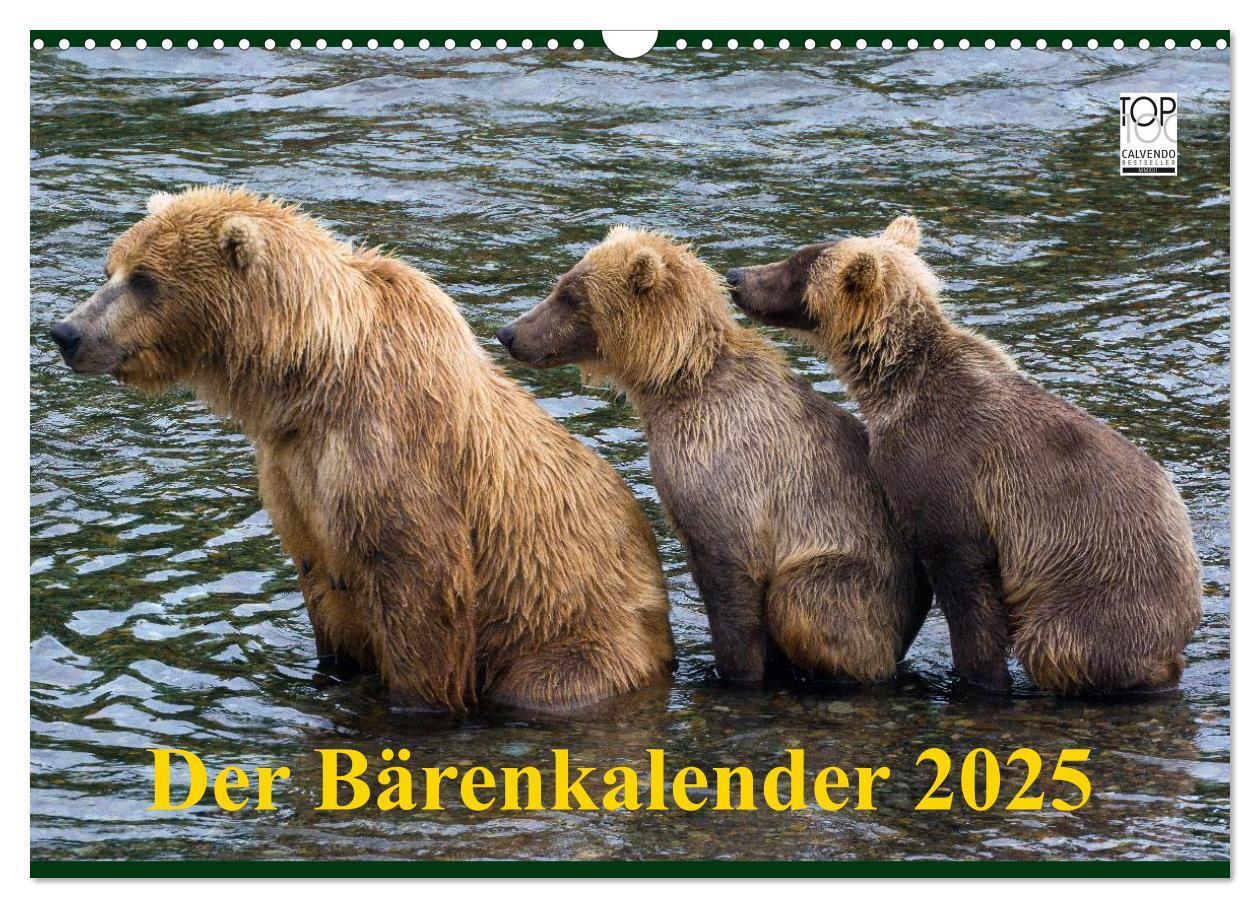 Cover: 9783435821037 | Der Bärenkalender 2025 (Wandkalender 2025 DIN A3 quer), CALVENDO...