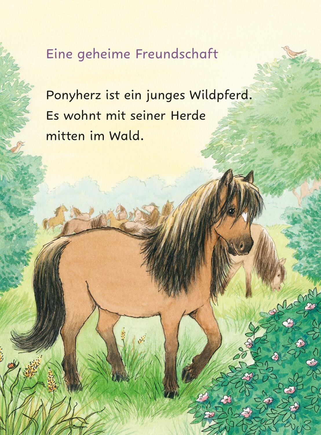 Bild: 9783551690838 | Ponyherz und Herr Franz: Die geklaute Wurst | Usch Luhn | Buch | 64 S.