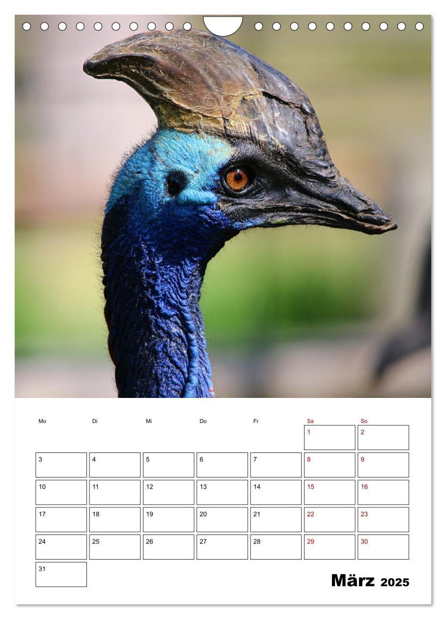 Bild: 9783435932603 | Australiens faszinierende Tierwelt (Wandkalender 2025 DIN A4 hoch),...