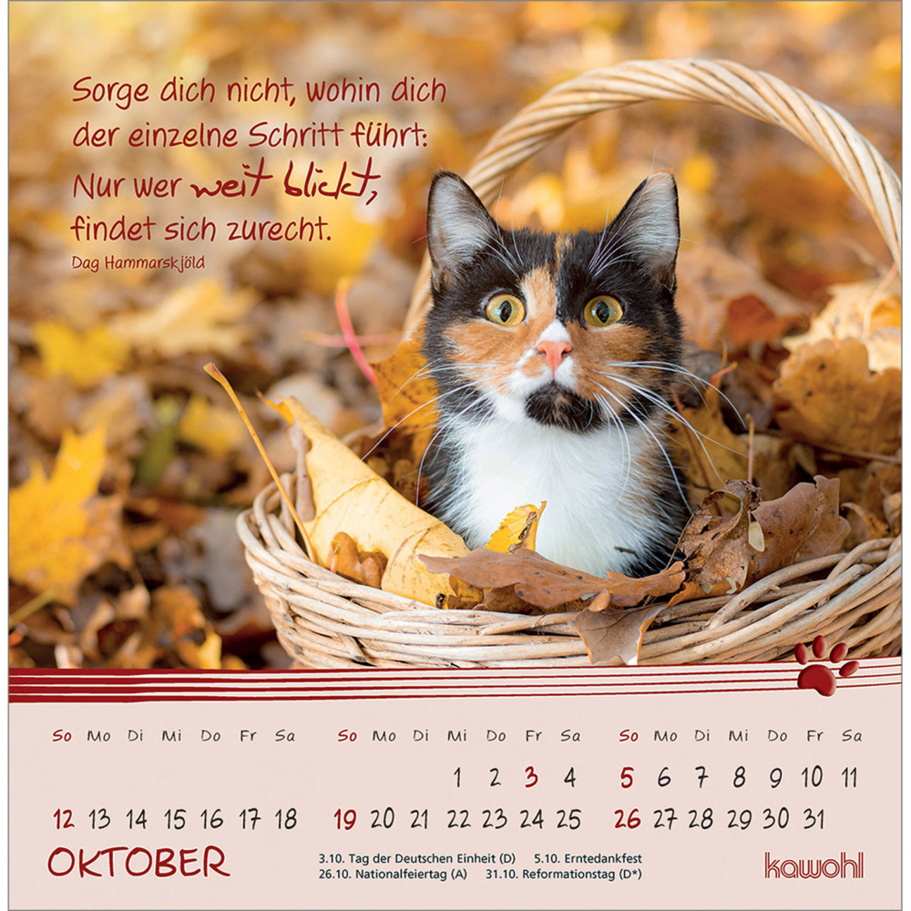 Bild: 9783754816950 | Kleine Katzen-Tatzen 2025 | Postkarten-Kalender | Kalender | 13 S.