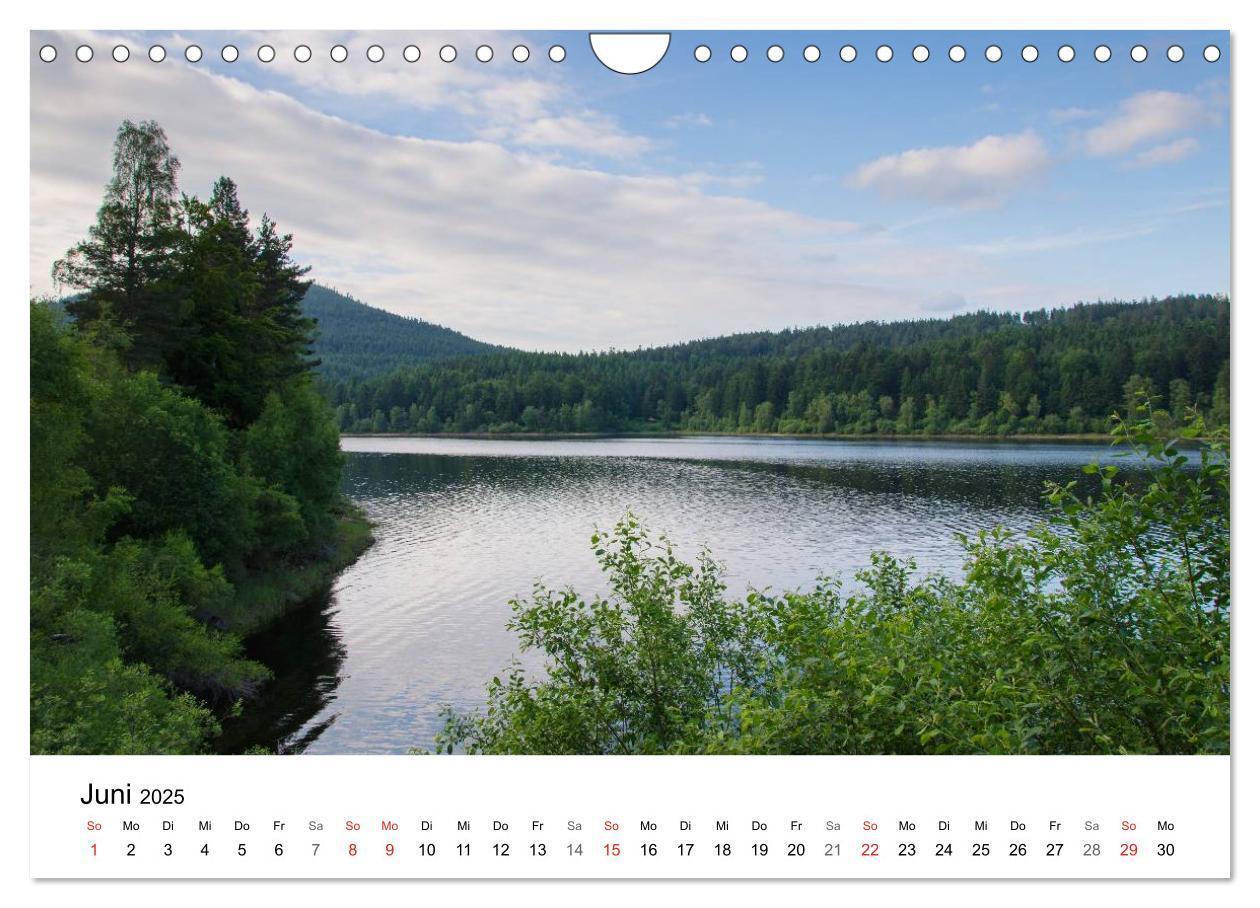 Bild: 9783435580118 | Naturerlebnis Nordschwarzwald (Wandkalender 2025 DIN A4 quer),...