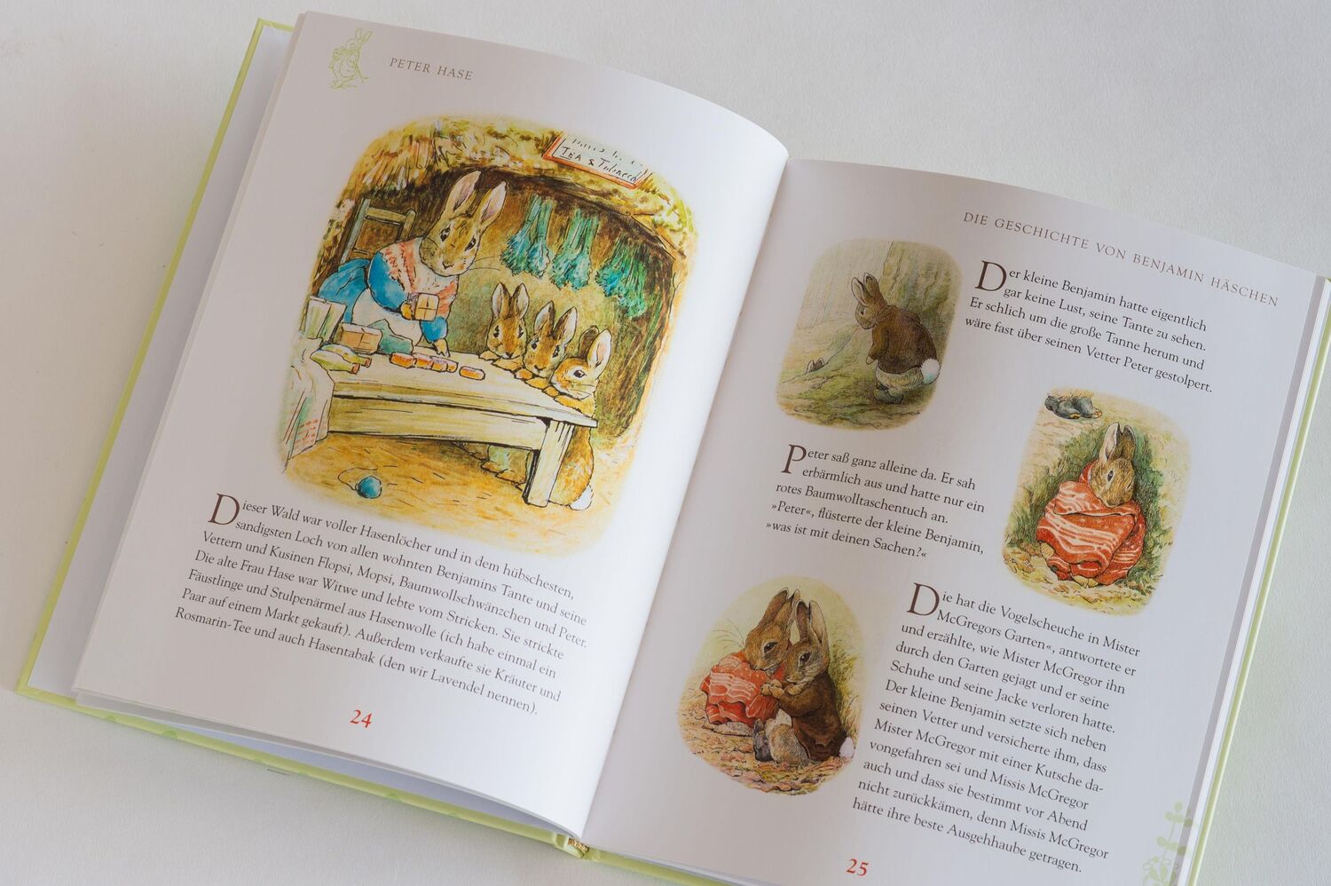 Bild: 9783730601068 | Peter Hase - Sämtliche Abenteuer | Beatrix Potter | Buch | 80 S.