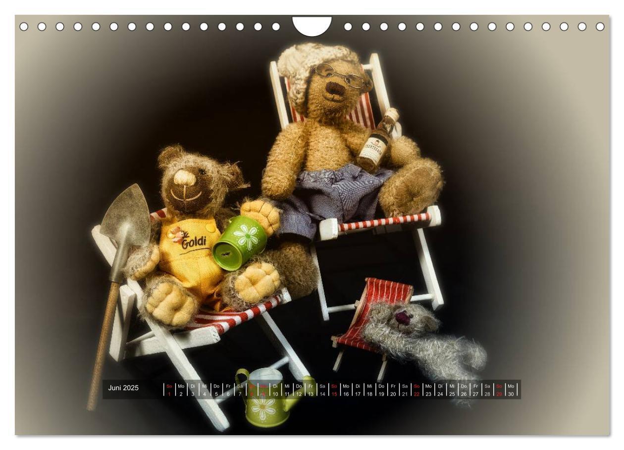 Bild: 9783435627592 | Die Teddys sind los (Wandkalender 2025 DIN A4 quer), CALVENDO...