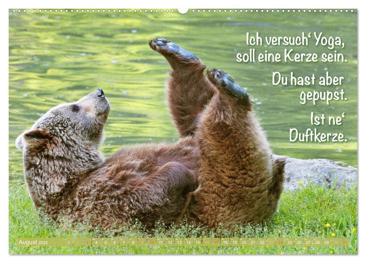 Bild: 9783383881398 | Spaß mit Bären: Edition lustige Tiere (Wandkalender 2025 DIN A2...