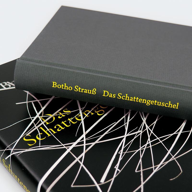 Bild: 9783446281196 | Das Schattengetuschel | Botho Strauß | Buch | 240 S. | Deutsch | 2024